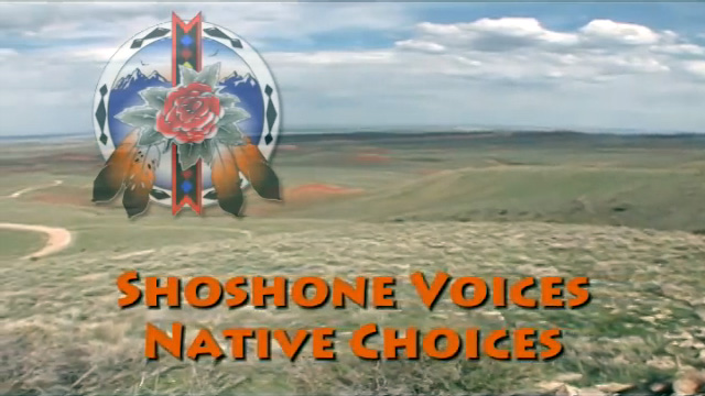 Shoshone Voices, Native Choices